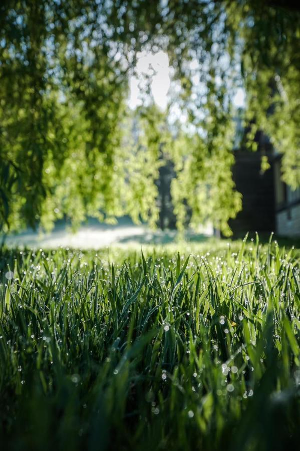 L'Herbe Haute Honfleur Exteriér fotografie